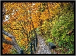 Jesień, Park, Ścieżka, Ławka