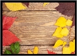 Jesień, Liście, Deski, Kolory