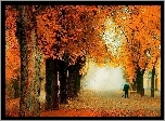 Jesień, Ulica, Alejka, Drzewa, Dozorca
