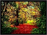 Jesień, Las, Dróżka, Ścieżka, Drzewa, Liście