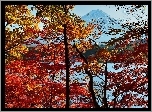 Jesień, Góra, Fuji, Drzewa, Japonia