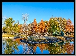 Jesień, Park, Drzewa, Jezioro