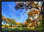 Jesień, Park, Drzewa, Niebo