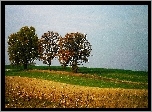 Drzewa, Jesień, Pole