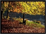 Jesień, Rzeka, Drzewa, Ławeczki
