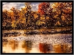 Jesień, Rzeka, Drzewa, Kaczki