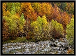 Jesień, Rzeka, Drzewa, Kamienie