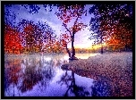 Jesień, Rzeka, Park, Kolorowe, Drzewa