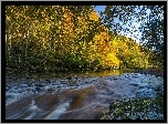 Jesień, Rzeka, Kamienie, Las, Drzewa