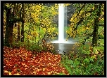 Jesień, Wodospad, Las, Liście
