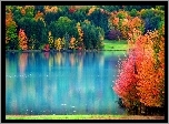 Jesień, Woda, Las, Odbicie, Liście, Kolorowe