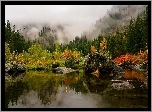 Jesień, Jezioro, Las, Mgła, Kamienie