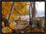 Jesień, Las, Rzeka, Głazy, Mgła, Świt