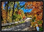 Jesień, Droga, Most, Drzewa