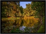 Jesień, Rzeka, Mostek, Drzewa