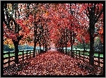 Jesień, Park, Aleja, Drzewa, Ogrodzenie, Liście