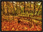 Jesień, Park, Ogrodzenie, Ławka