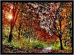 Jesień, Las, Ścieżka, Przebijające Światło