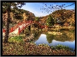 Jesień, Park, Rzeka, Most