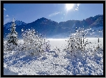 Austria, Karyntia, Alpy Gailtalskie, Jezioro Weißensee, Zima, Krajobraz, Góry, Promienie słońca, Drzewo, Krzewy