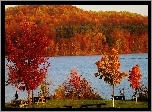 Jezioro, Jesień, Drzewa, Krzewy