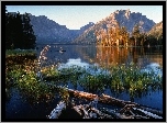 Jezioro, Góry, Roślinność, Jackson, Wyoming