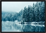 Las, Jezioro, Zima