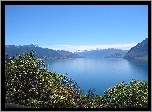 Jezioro, Góry, Roślinność, Hawea, Nowa Zelandia