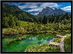 Góry, Drzewa, Las, Jezioro, Rezerwat przyrody Zelenci, Trawa, Pomosty, Obłoki, Kranjska Gora, Słowenia
