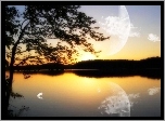 Jezioro, Łabędź, Zachód słońca, Drzewo