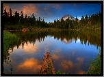 Jezioro, Mirror, Las, Odbicie, Yosemite, Kalifornia