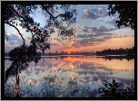Jezioro, Gałęzie, Zachód Słońca