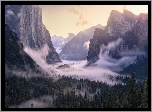 Góry, Las, Opadająca, Mgła, Yosemite Valley, Park Narodowy Yosemite, 
Kalifornia, Stany Zjednoczone