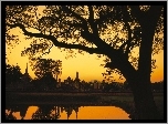 Kambodża, Budowle, Drzewo, Jezioro