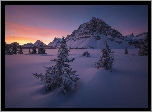 Kanada, Alberta, Park Narodowy Banff, Góra Crowfoot Mountain, Góry, Zima, Wschód słońca, Drzewa