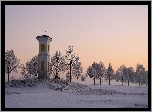 Zima, Kapliczka, Drzewa