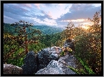 Ukraina, Karpaty, Skała, Las, Góry, Drzewa, Zachód słońca