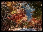 Kolorowe, Drzewa, Droga, Jesień