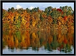 Kolorowe, Barwy, Jesieni, Jezioro, Odbicie