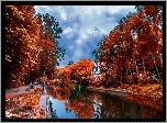 Kolorowe, Drzewa, Rzeka, Jesień