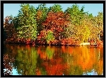 Kolorowe, Barwy, Jesieni, Drzewa, Rzeka, Odbicie