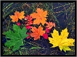 Kolorowe liście, Woda, Jesień
