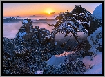 Korea Południowa, Prowincja  Gyeonggi-do, Park Narodowy Bukhansan, Góra Dobongsan, Zima, Wschód słońca, Mgła, Skały, Drzewa, Sosna