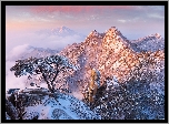 Korea Południowa, Prowincja Gyeonggi-do, Park Narodowy Bukhansan, Góry, Zima, Ośnieżone, Skały, Kamienie, Drzewa, Sosna