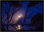 Księżyc, Niebo, Noc, Drzewa, Morze