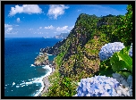 Portugalia, Wyspa Madera, Wybrzeże, Morze, Góry, Niebieskie, Kwiaty
