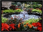 Ogród, Kwiaty, Fontanna