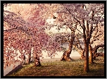 Kwitnące, Drzewa, Jeziorko, Park