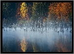 Jesień, Las, Drzewa, Mgła, Jezioro Lacul Cuejdel, Miejscowość 
Garcina, Okręg Neamt, Rumunia