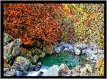 Jesień, Las, Drzewa, Kolorowe, Liście, Kamienie, Rzeka
